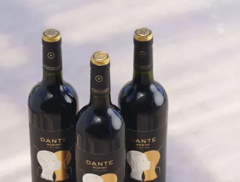 Bodega dante robino